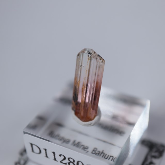 ���󥴻����ȥ�ޥ��