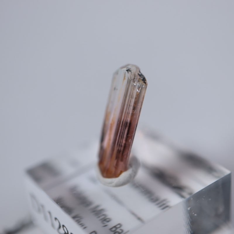 ���󥴻����ȥ�ޥ��