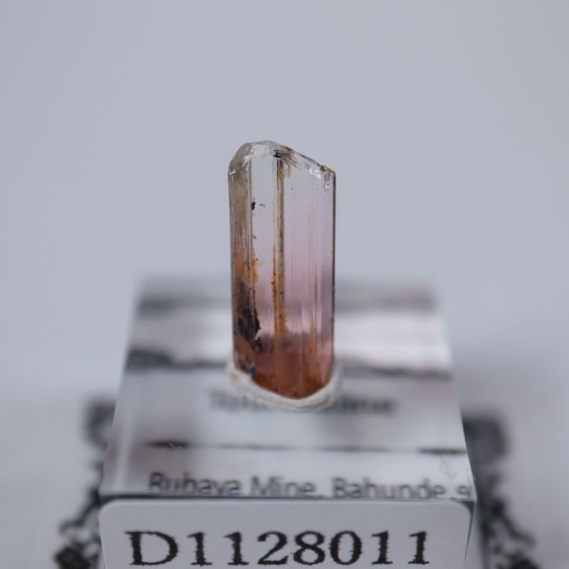 ���󥴻����ȥ�ޥ��