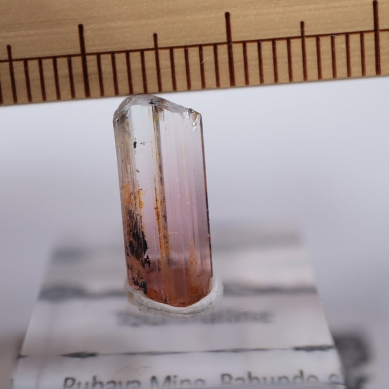 ���󥴻����ȥ�ޥ��