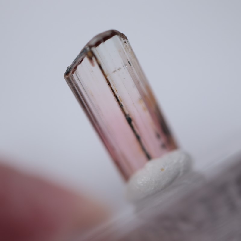 ���󥴻����ȥ�ޥ��