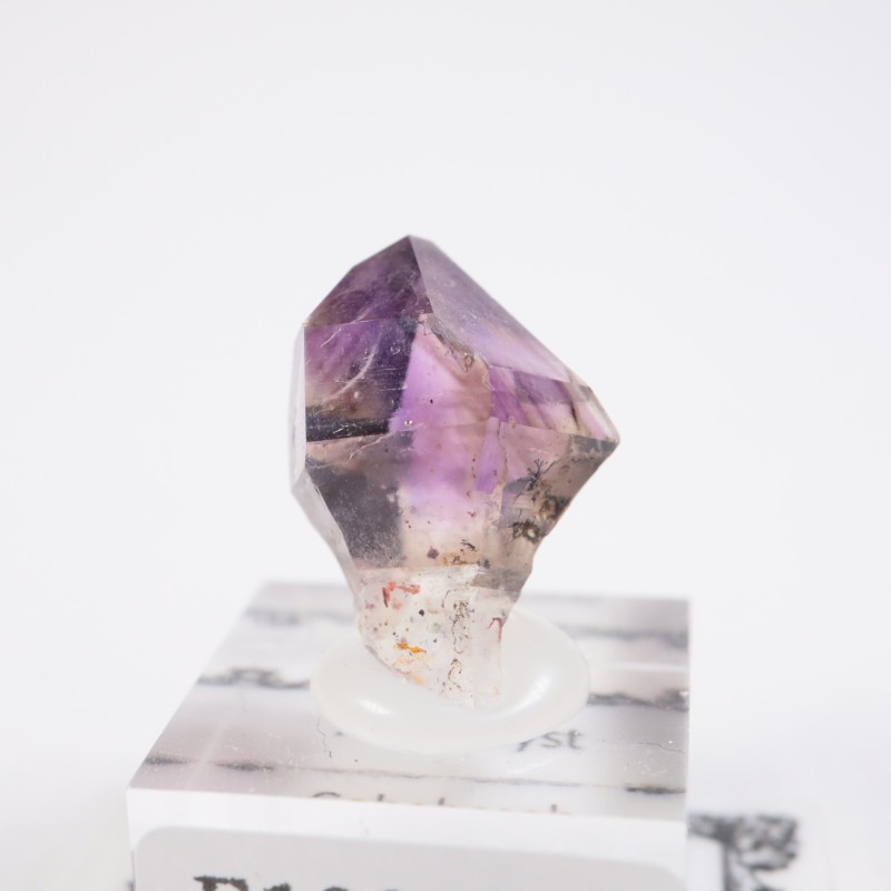 �֥��ɥС����������᥷����