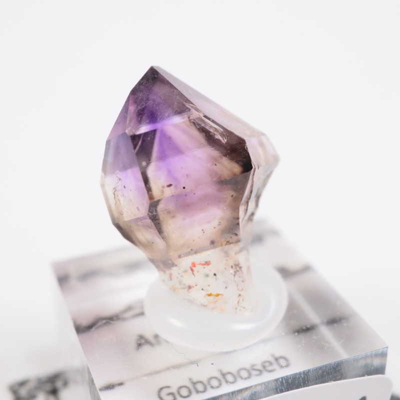 �֥��ɥС����������᥷����