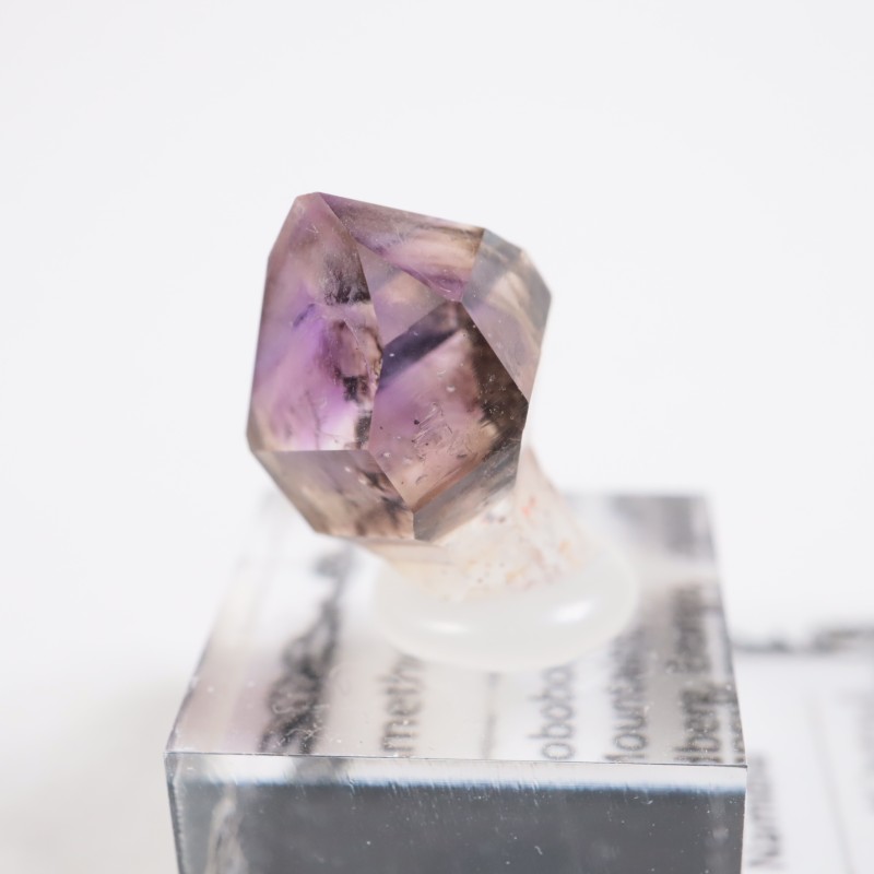 �֥��ɥС����������᥷����