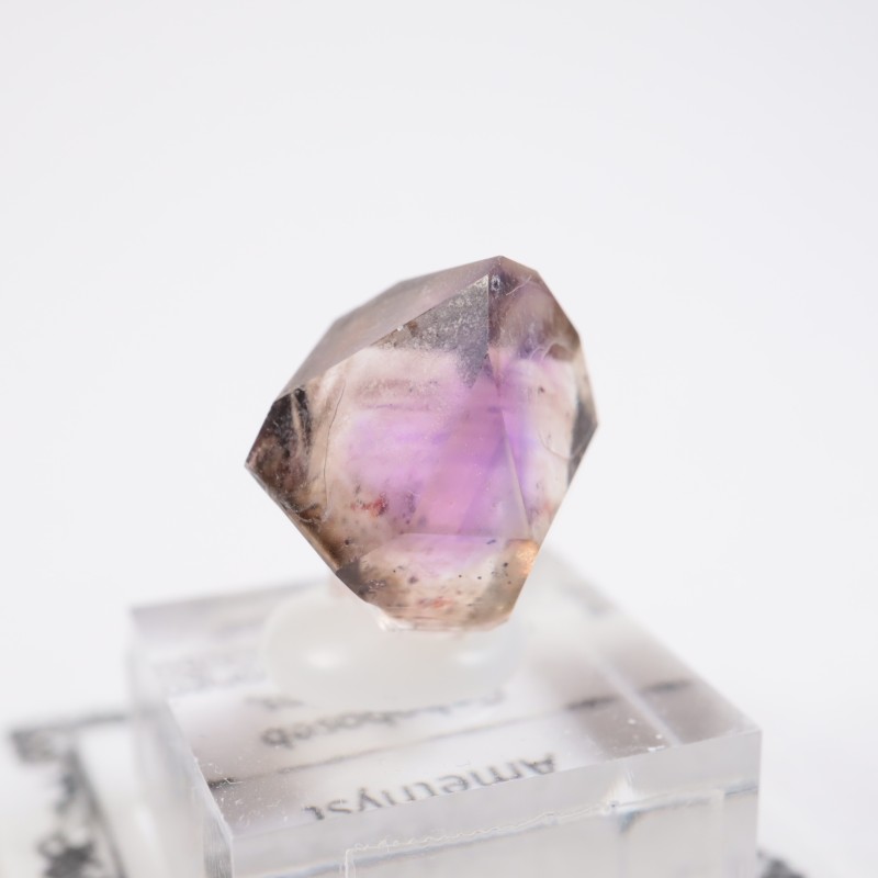 �֥��ɥС����������᥷����