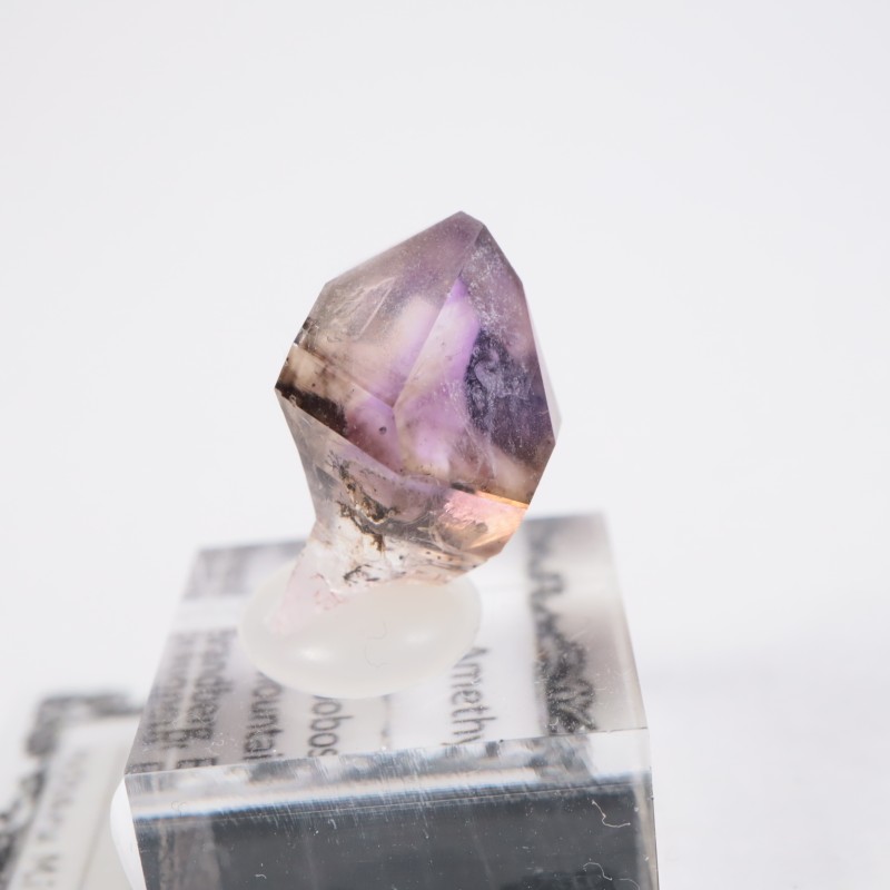 �֥��ɥС����������᥷����