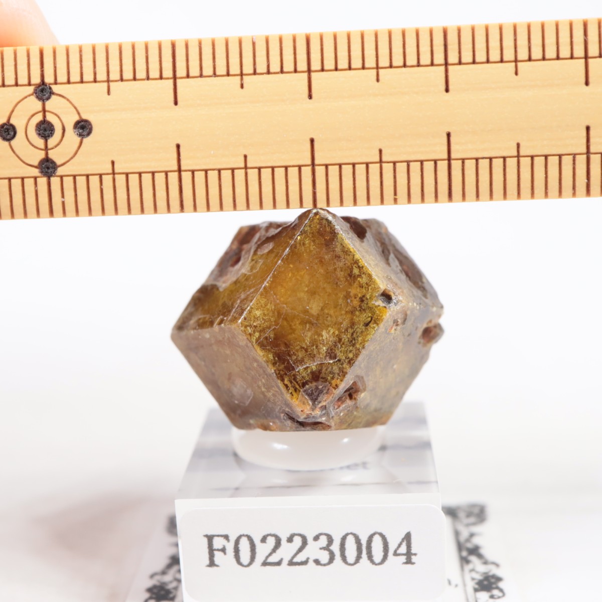 �ޥ껺 �����ͥå�