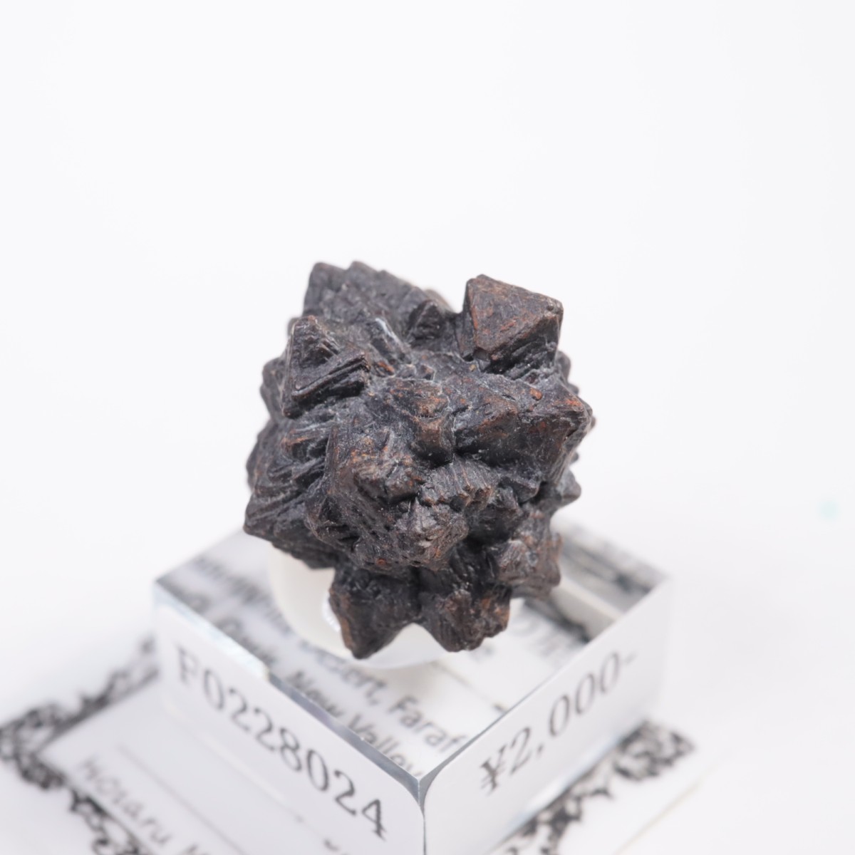 �����ץȤ��� ���������ȡʥޡ��������Ȳ�����