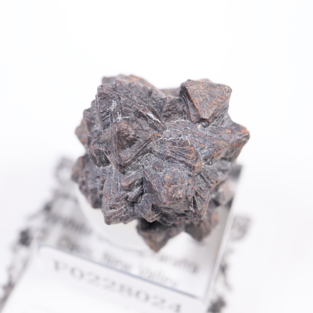 �����ץȤ��� ���������ȡʥޡ��������Ȳ�����