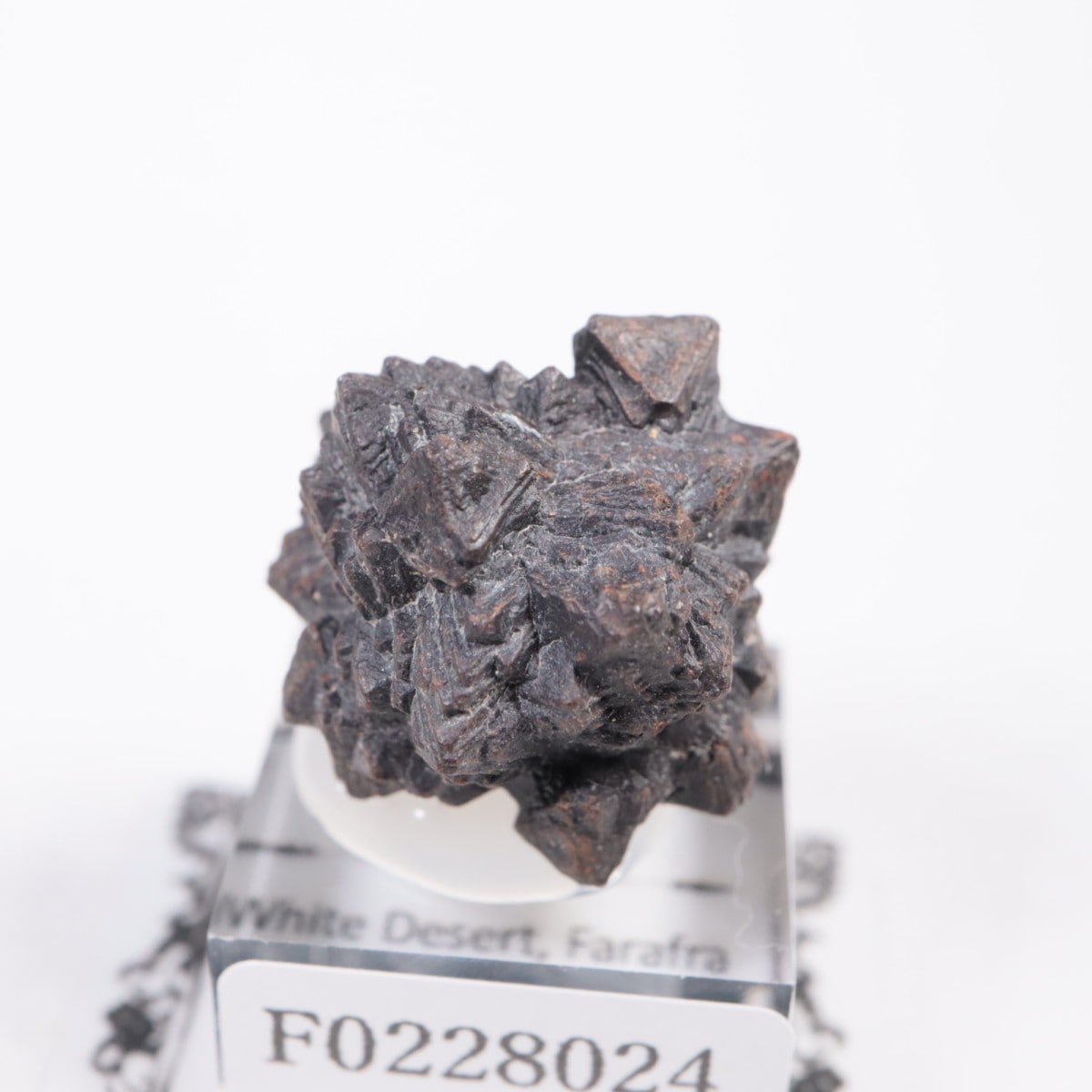 �����ץȤ��� ���������ȡʥޡ��������Ȳ�����