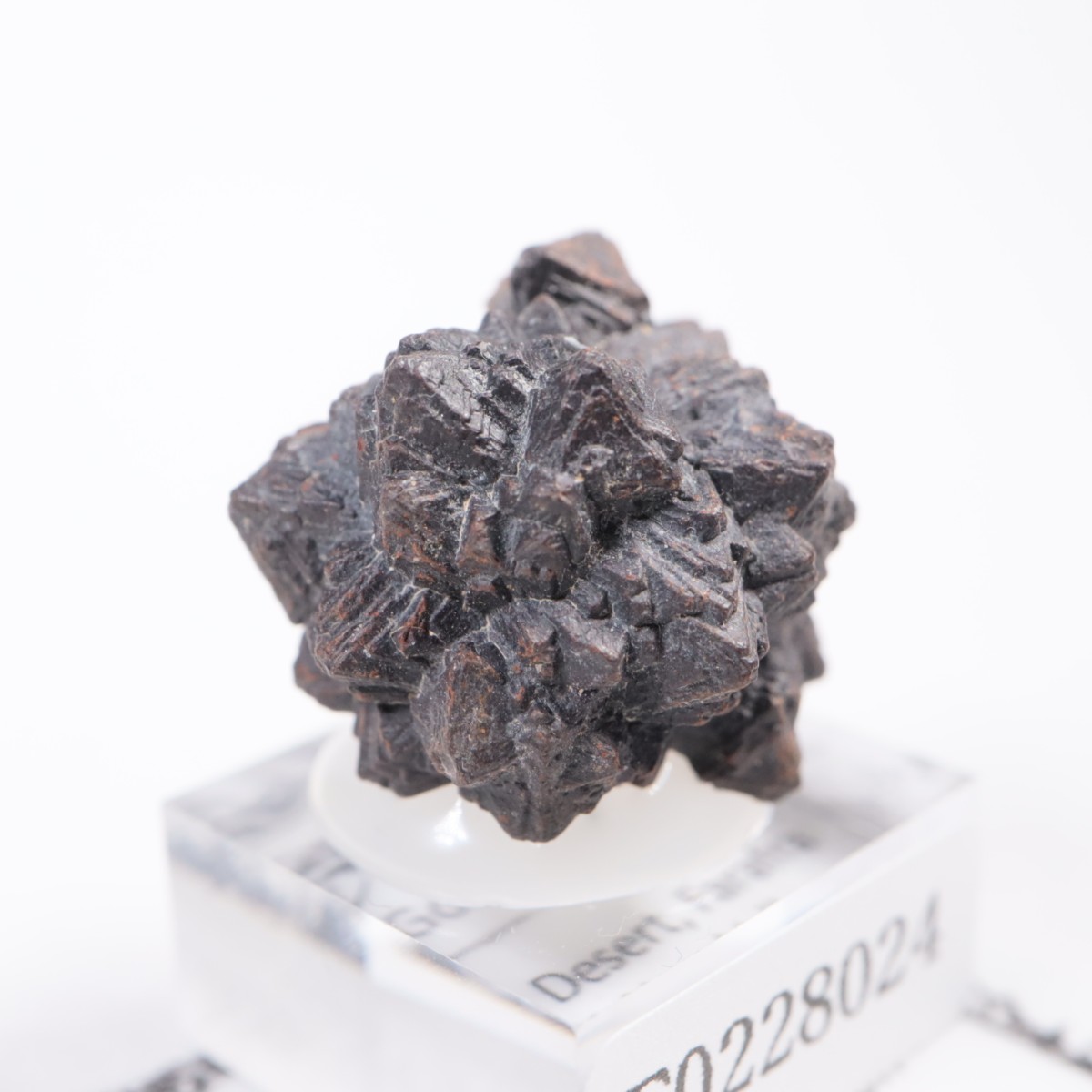 �����ץȤ��� ���������ȡʥޡ��������Ȳ�����