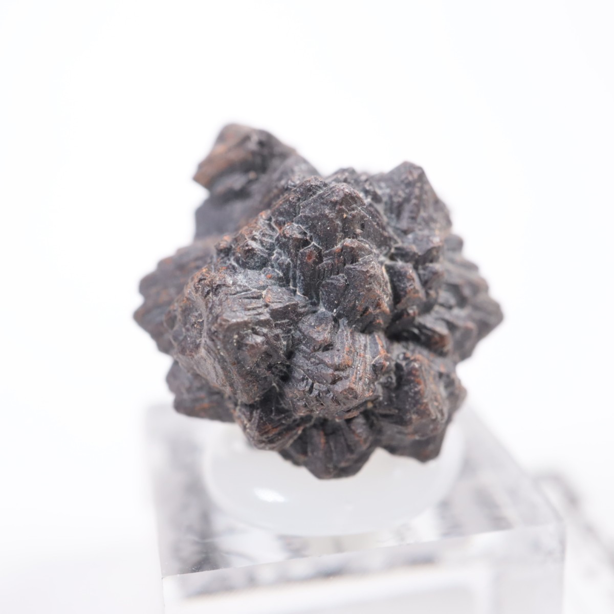 �����ץȤ��� ���������ȡʥޡ��������Ȳ�����