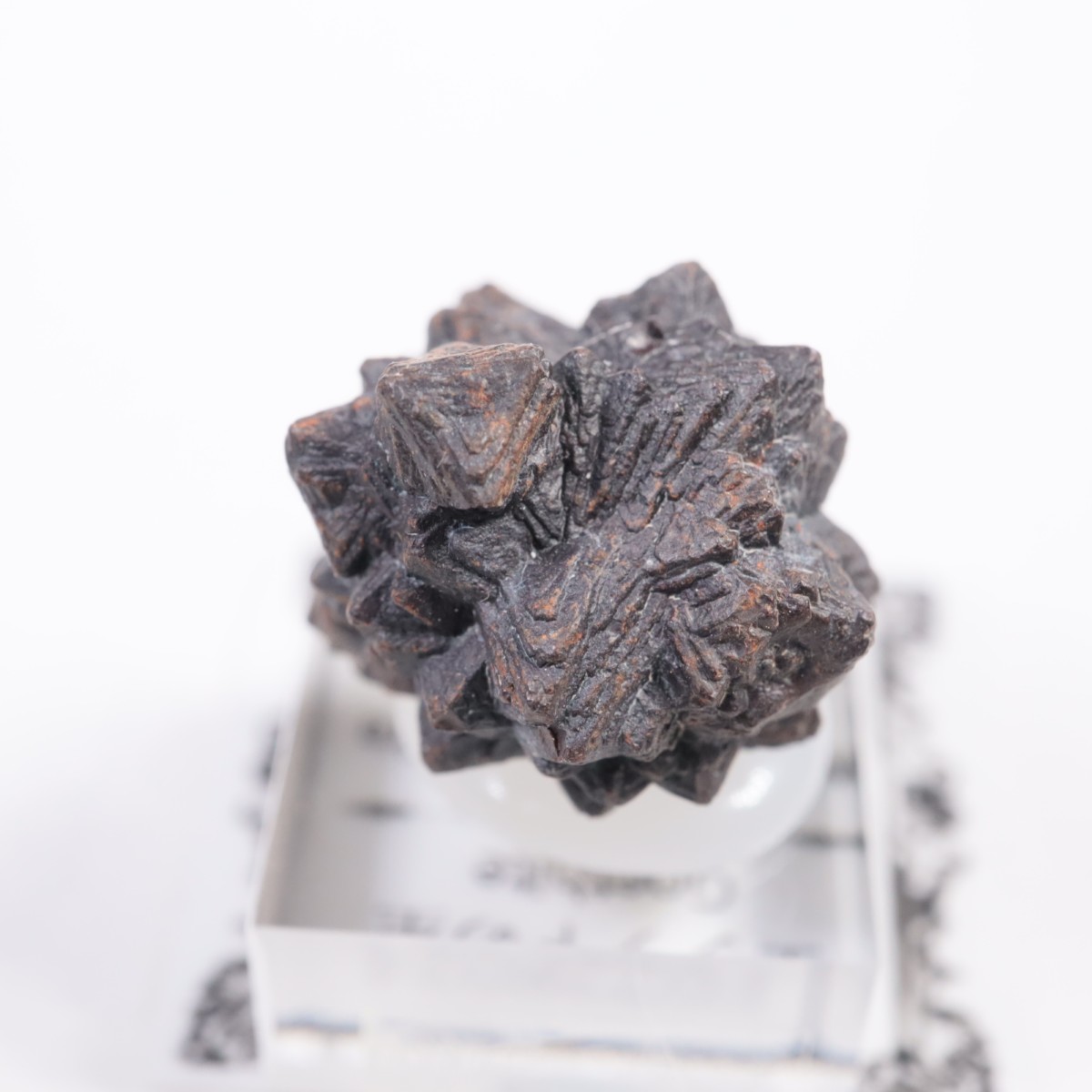 �����ץȤ��� ���������ȡʥޡ��������Ȳ�����