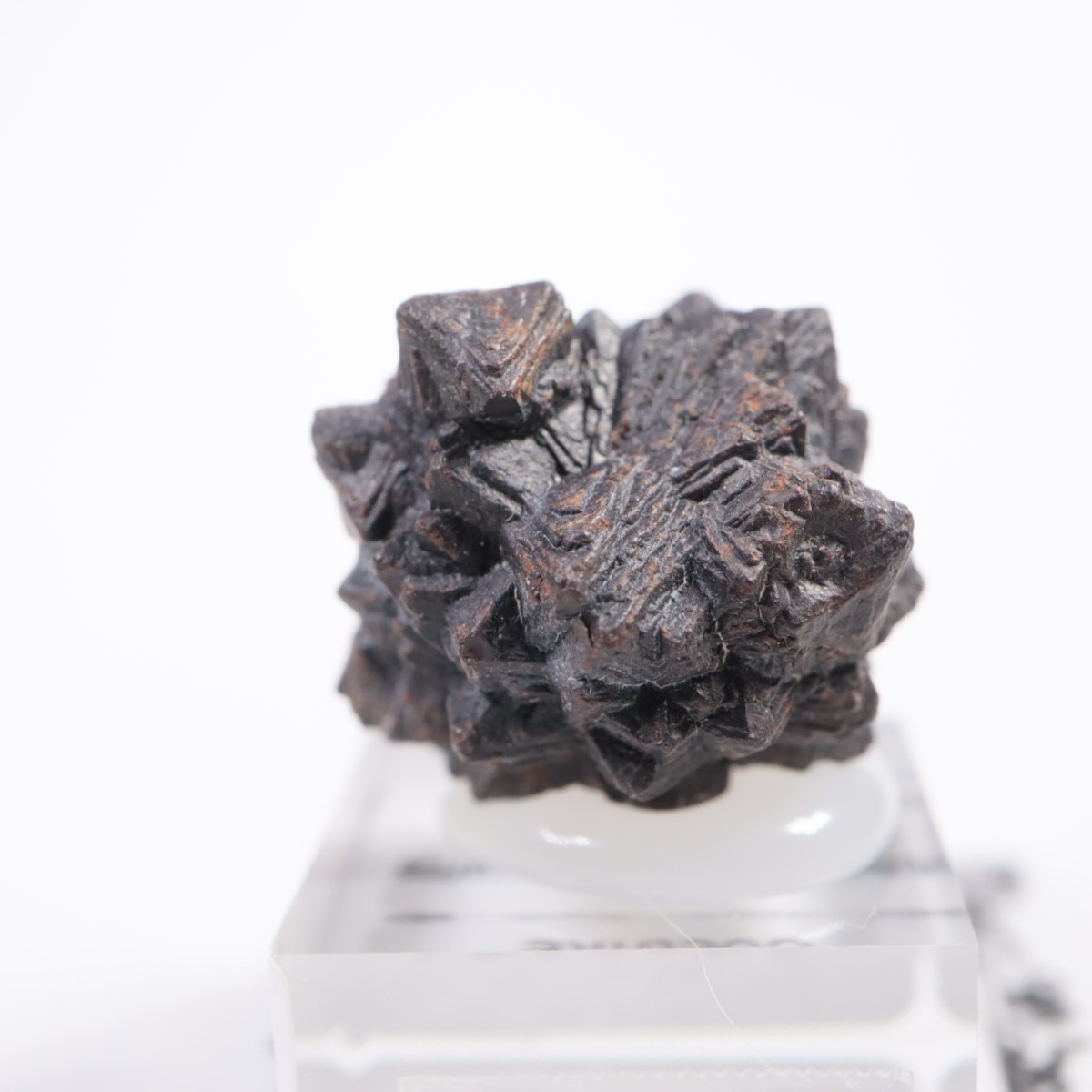 �����ץȤ��� ���������ȡʥޡ��������Ȳ�����