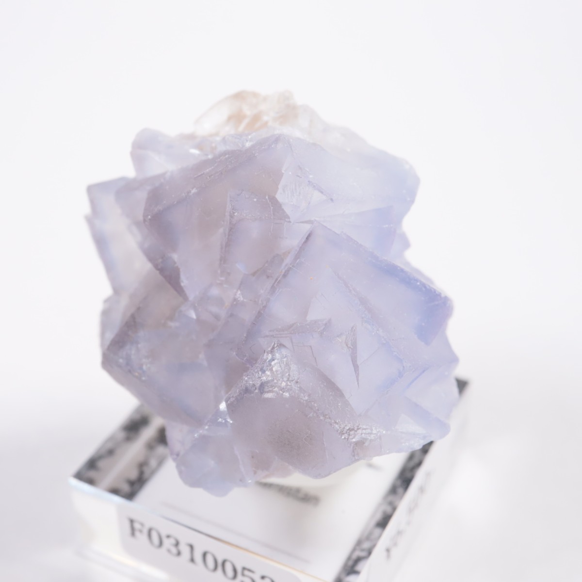 ���ե��˥����� �ե����饤��