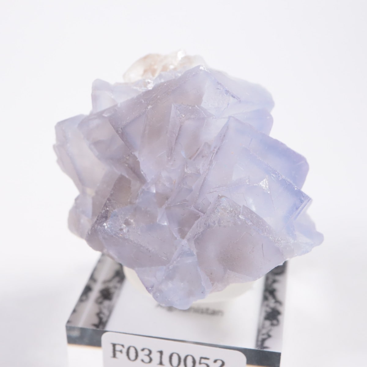 ���ե��˥����� �ե����饤��