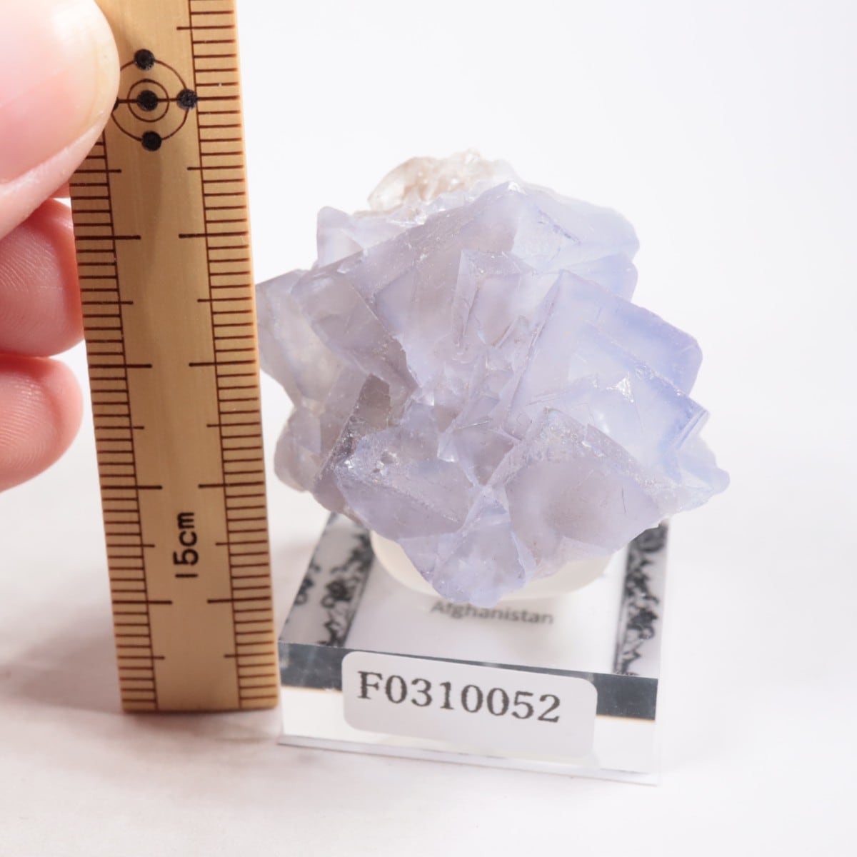 ���ե��˥����� �ե����饤��