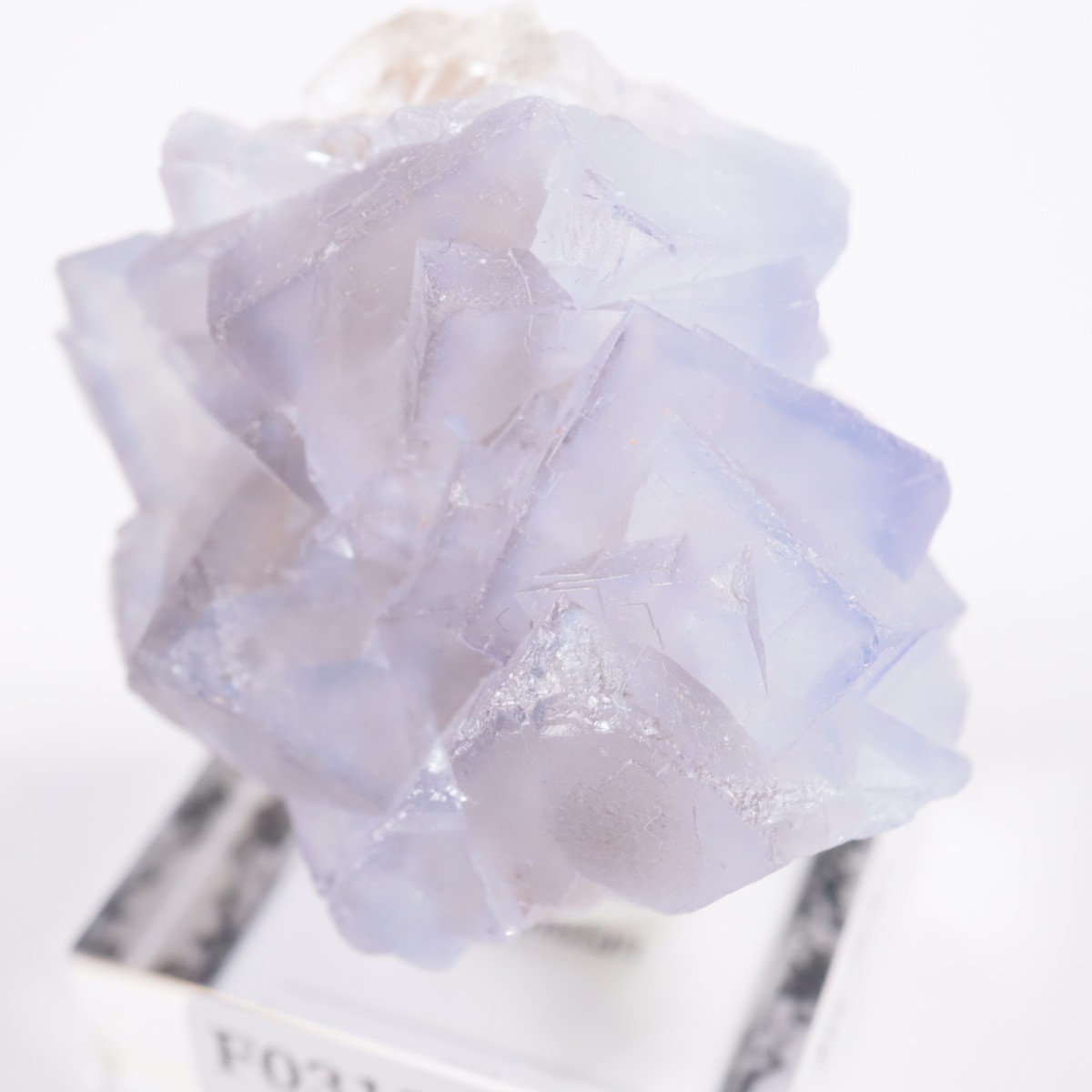 ���ե��˥����� �ե����饤��