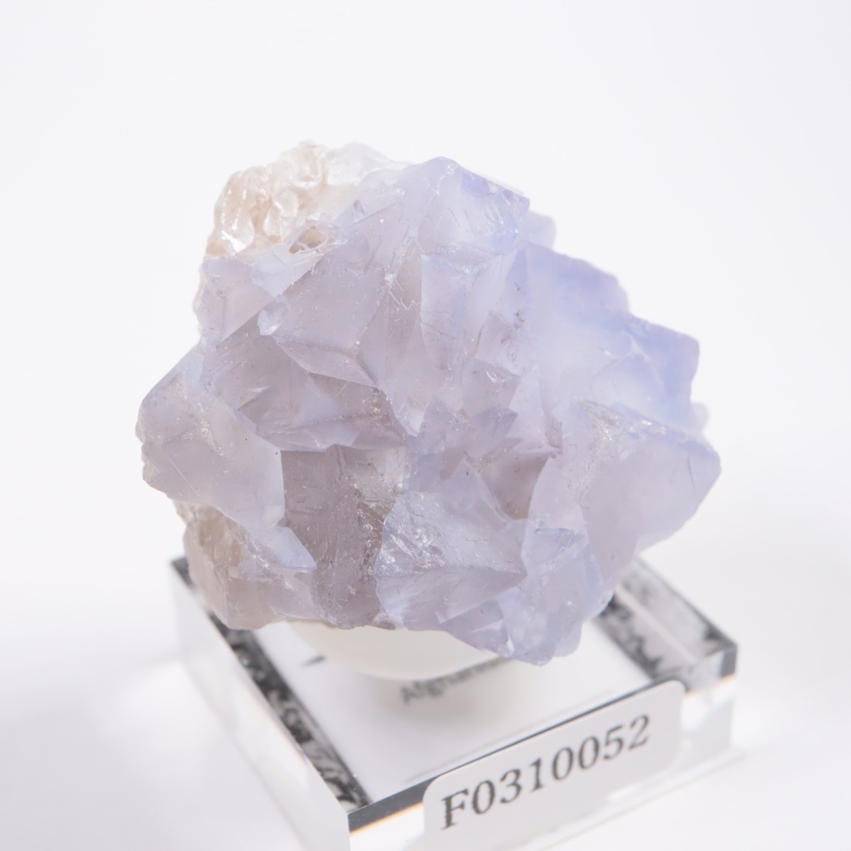 ���ե��˥����� �ե����饤��