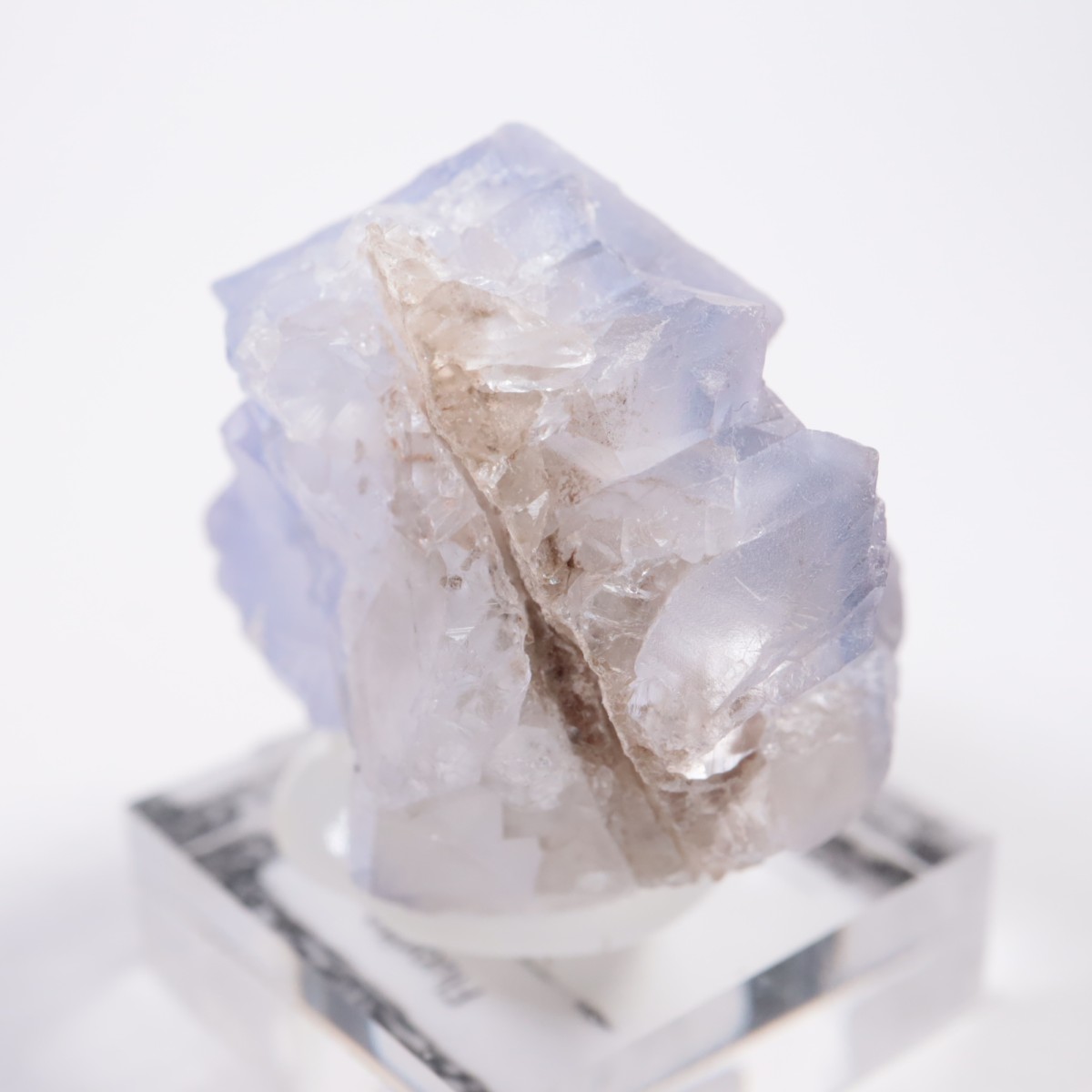 ���ե��˥����� �ե����饤��