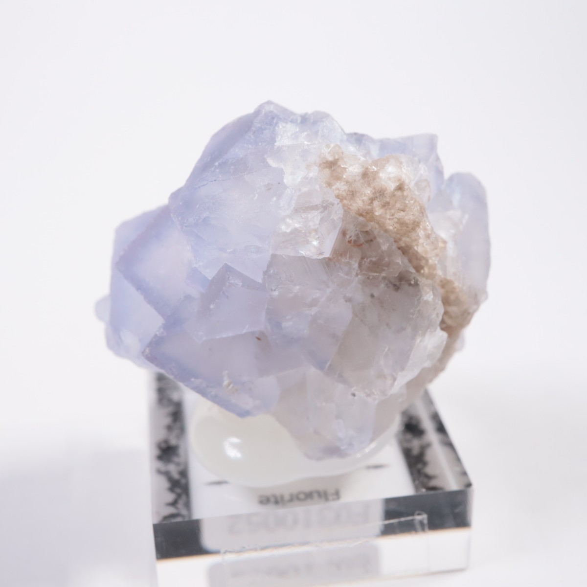 ���ե��˥����� �ե����饤��