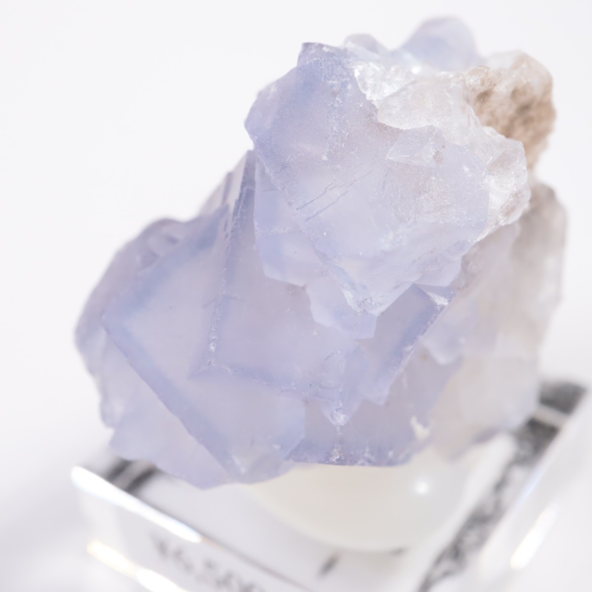 ���ե��˥����� �ե����饤��