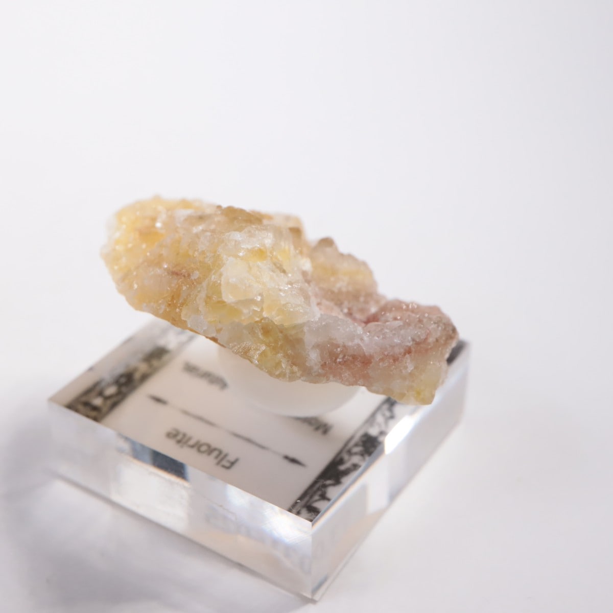 Moscona�ۻ��� �ե����饤��