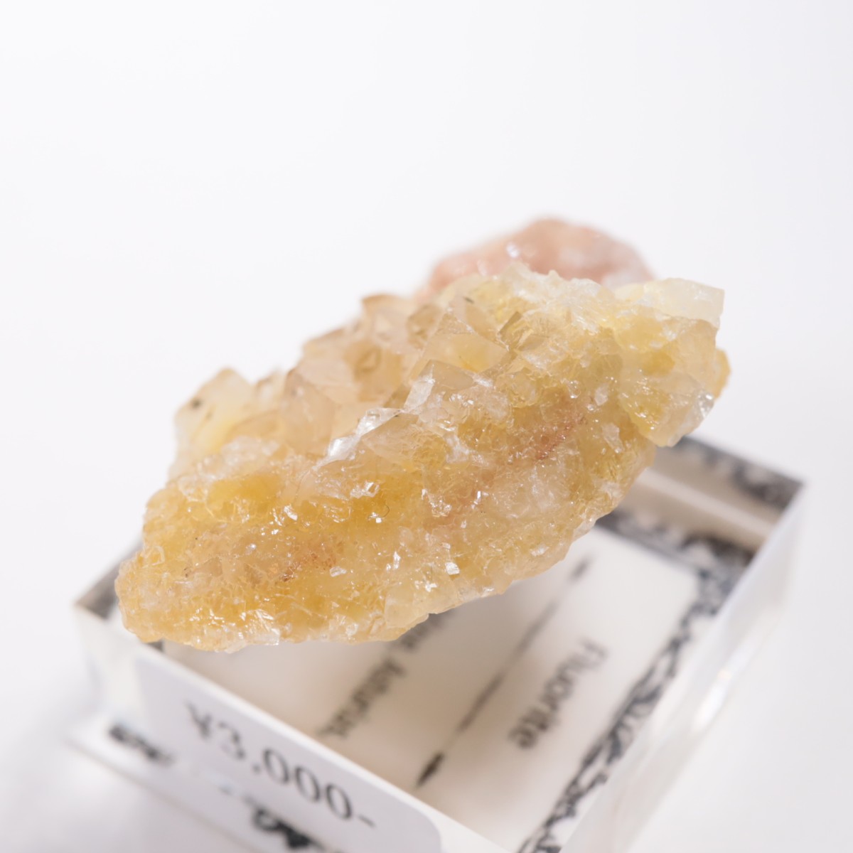 Moscona�ۻ��� �ե����饤��