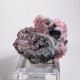 �ĥ�ֹۻ� ���Х�ȥ��ߥ��ʥ���