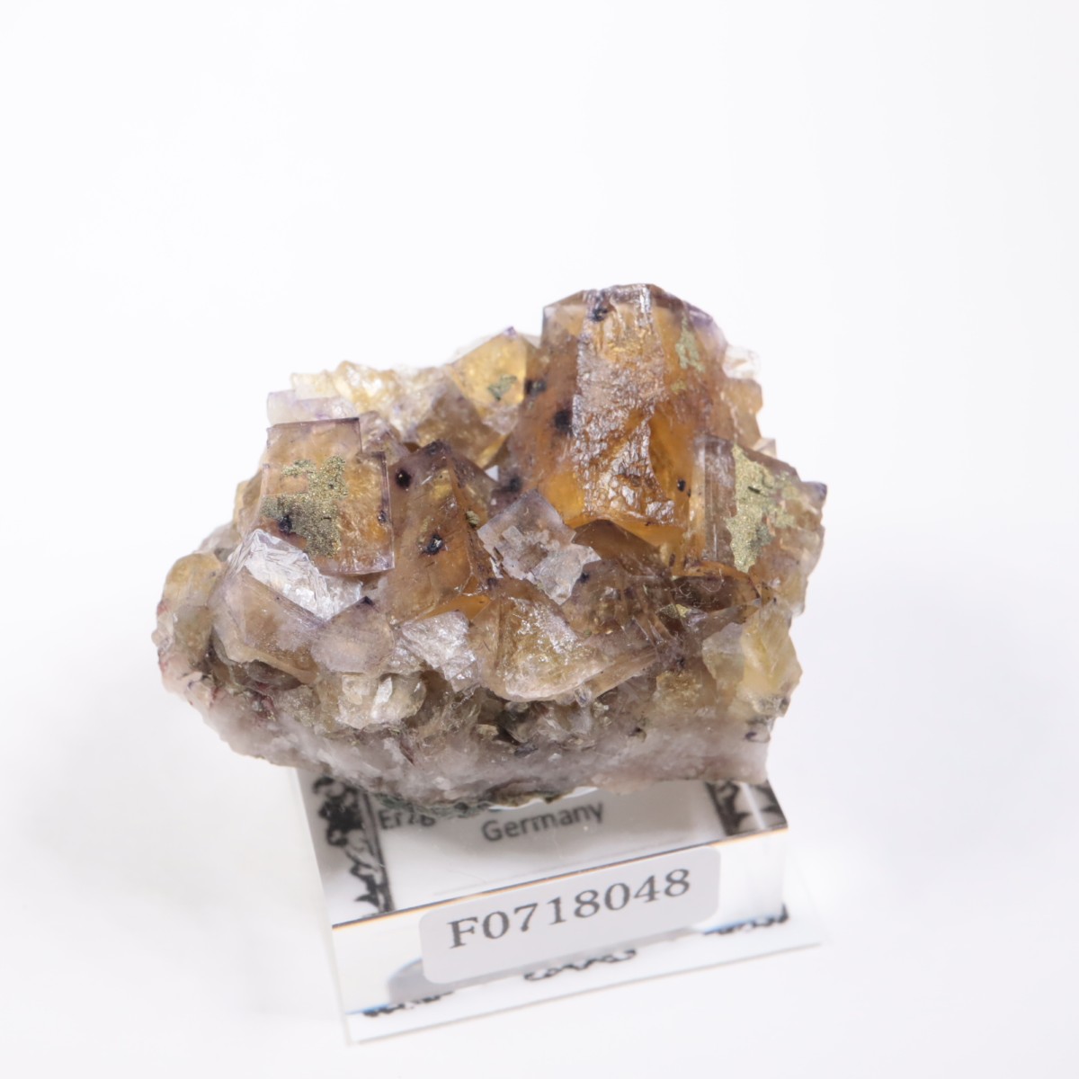 �ɥ��Ļ����ե����饤��