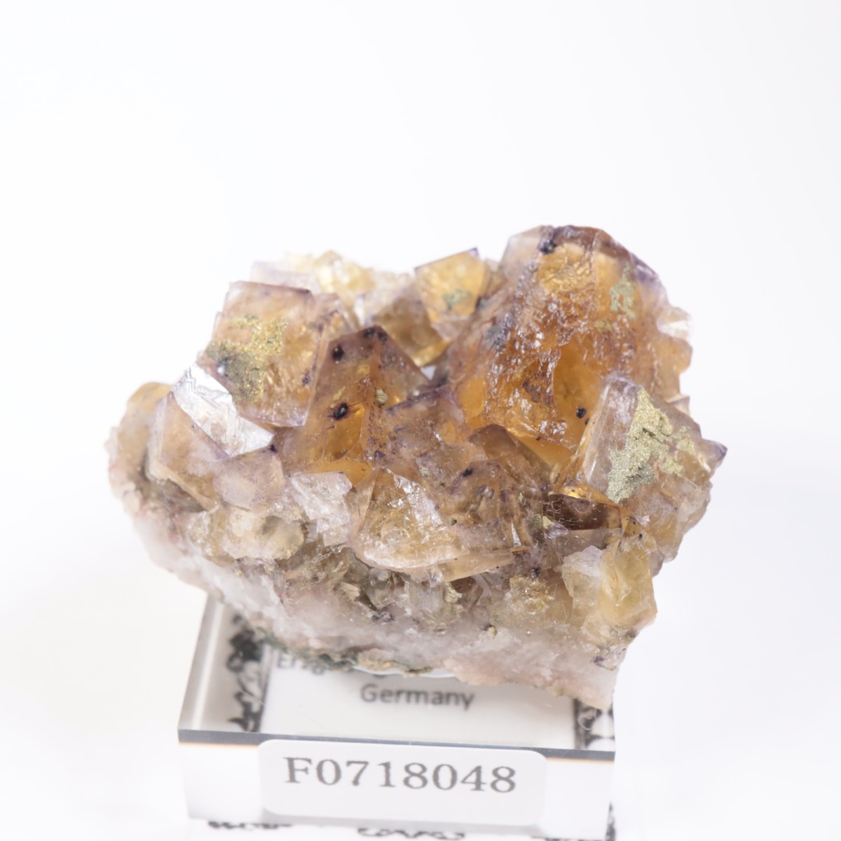 �ɥ��Ļ����ե����饤��