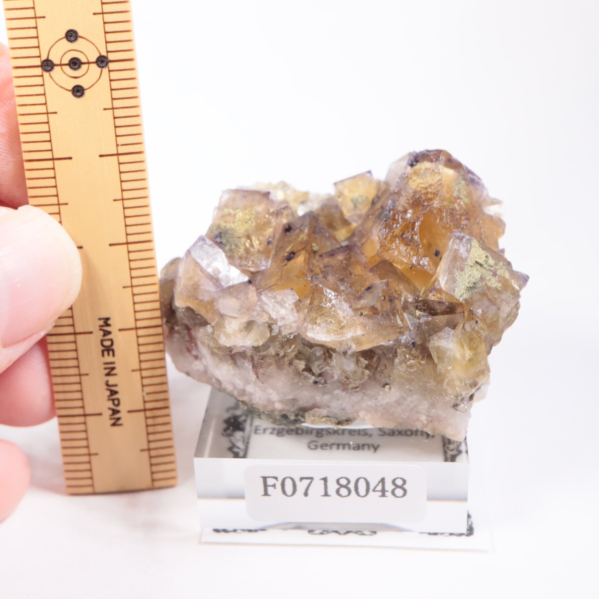 �ɥ��Ļ����ե����饤��