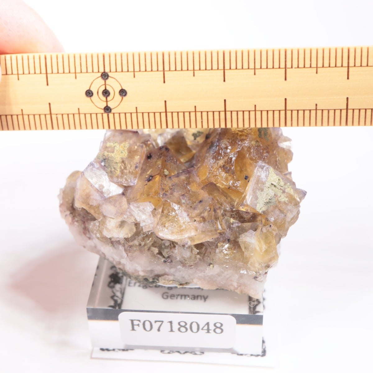 �ɥ��Ļ����ե����饤��