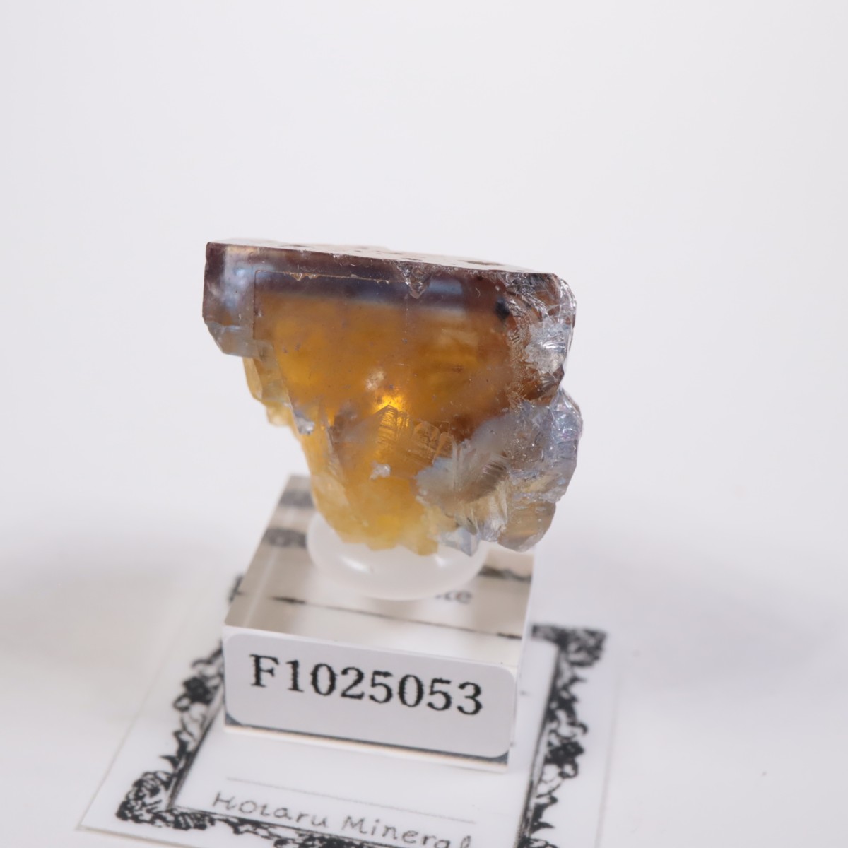 �ե�󥹻� �ե����饤��