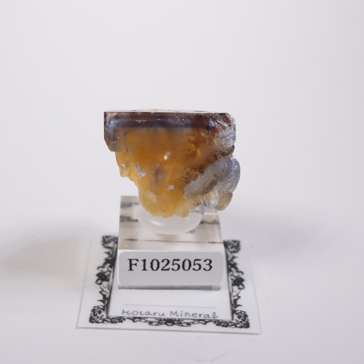 �ե�󥹻� �ե����饤��