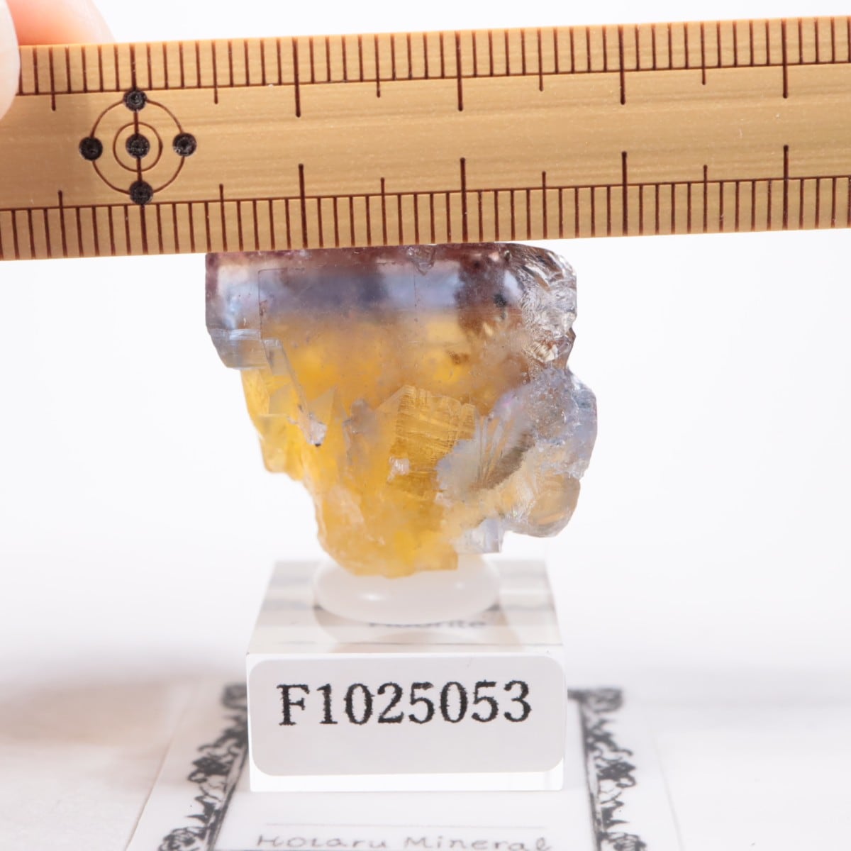 �ե�󥹻� �ե����饤��