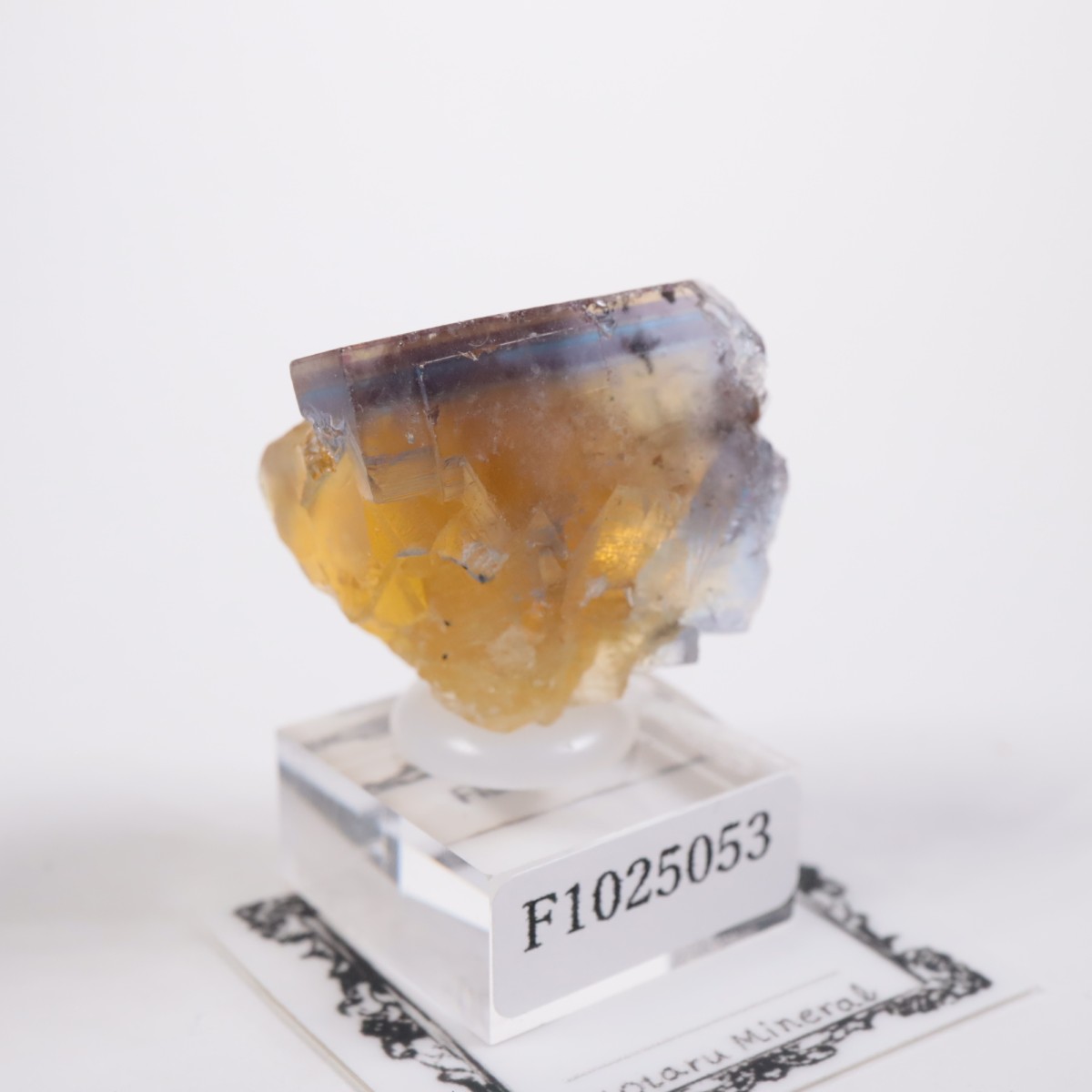 �ե�󥹻� �ե����饤��