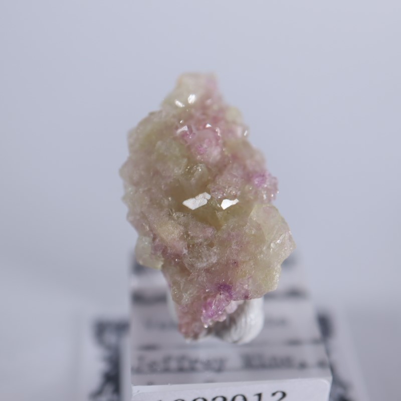 �����ե꡼�ۻ����٥����Сʥ٥��ӥ��ʥ��ȡ�