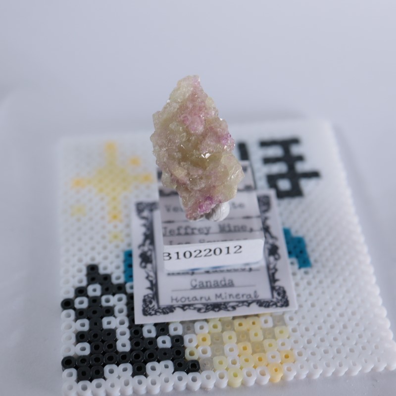 �����ե꡼�ۻ����٥����Сʥ٥��ӥ��ʥ��ȡ�