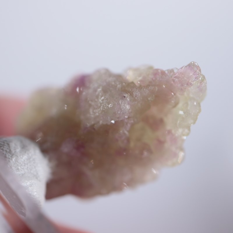 �����ե꡼�ۻ����٥����Сʥ٥��ӥ��ʥ��ȡ�