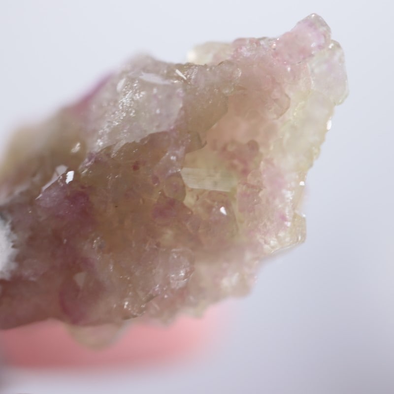 �����ե꡼�ۻ����٥����Сʥ٥��ӥ��ʥ��ȡ�