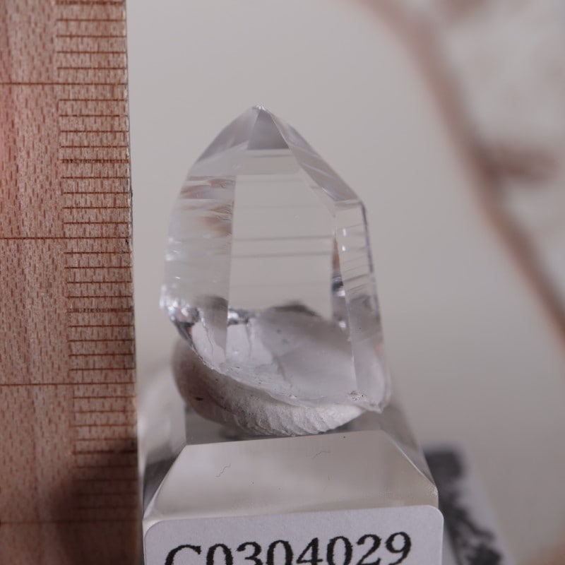 コロンビア産 水晶 | 鉱物標本,カ行,クォーツ/水晶 | ほたるみねらる