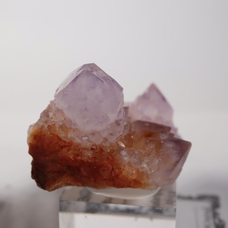 南アフリカ産 カクタスクォーツ | 鉱物標本,ア行,アメシスト/紫水晶