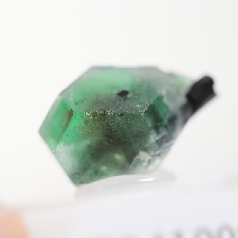 �����󥴹ۻ�������