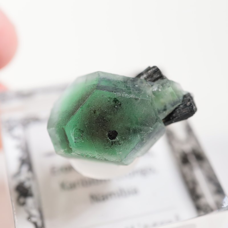 �����󥴹ۻ�������