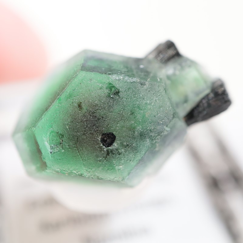 �����󥴹ۻ�������