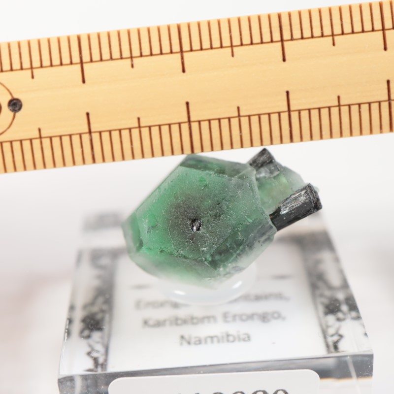 �����󥴹ۻ�������