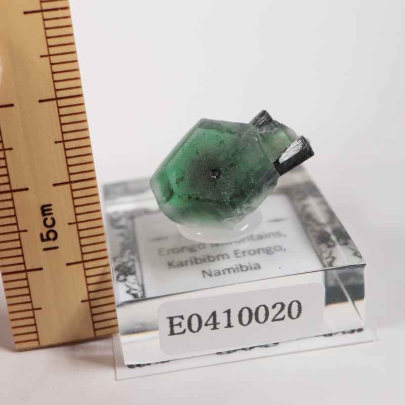 �����󥴹ۻ�������