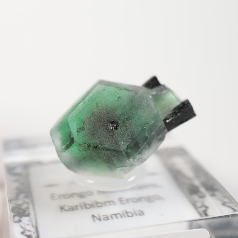 �����󥴹ۻ�������