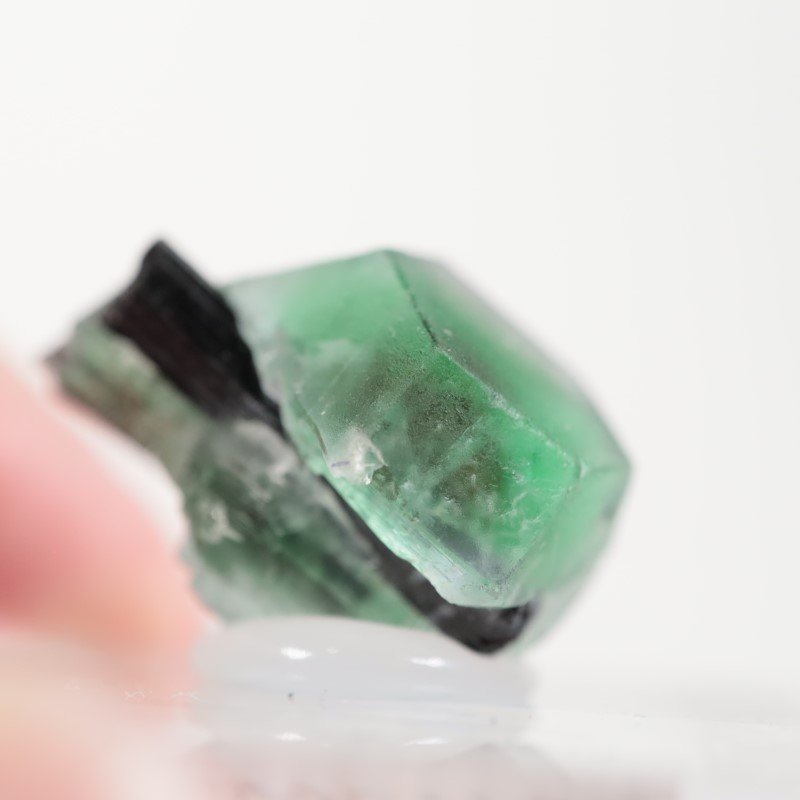 �����󥴹ۻ�������